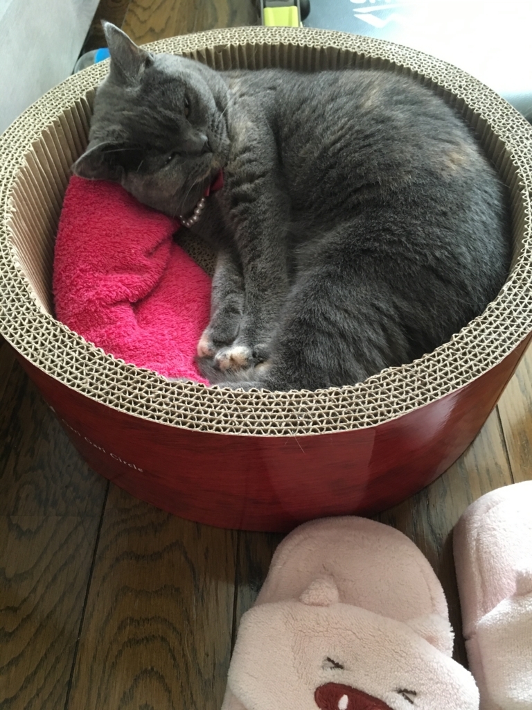 f:id:ririko69:20180730225628j:plain f:id:ririko69:20180730225628j:plain