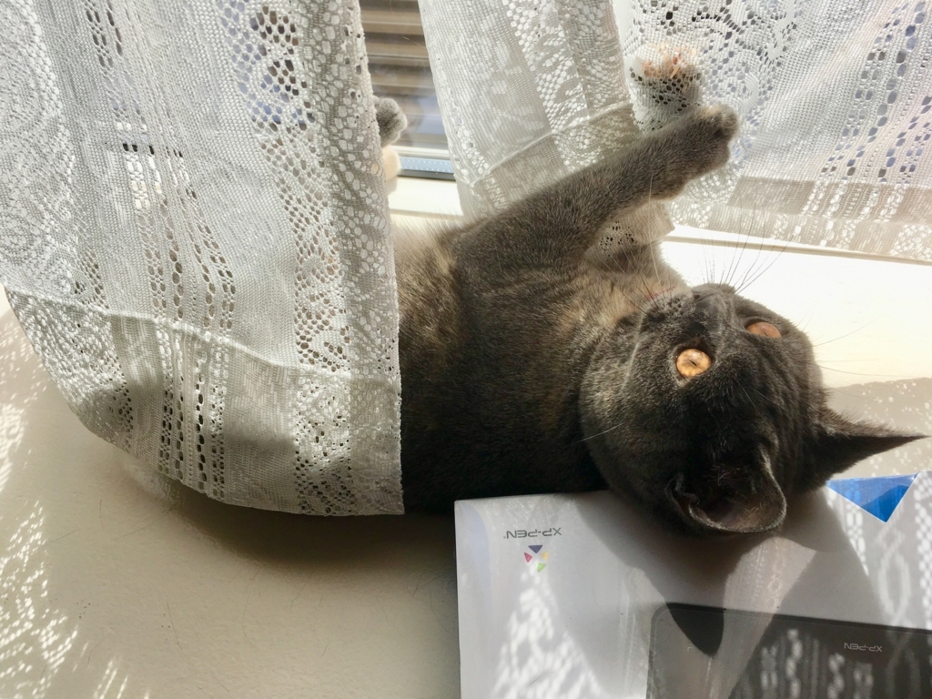 f:id:ririko69:20180730231616j:plain f:id:ririko69:20180730231616j:plain