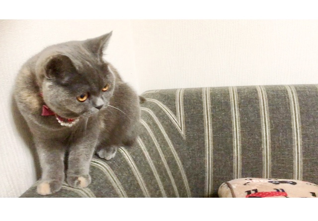 f:id:ririko69:20180730232627j:plain f:id:ririko69:20180730232627j:plain