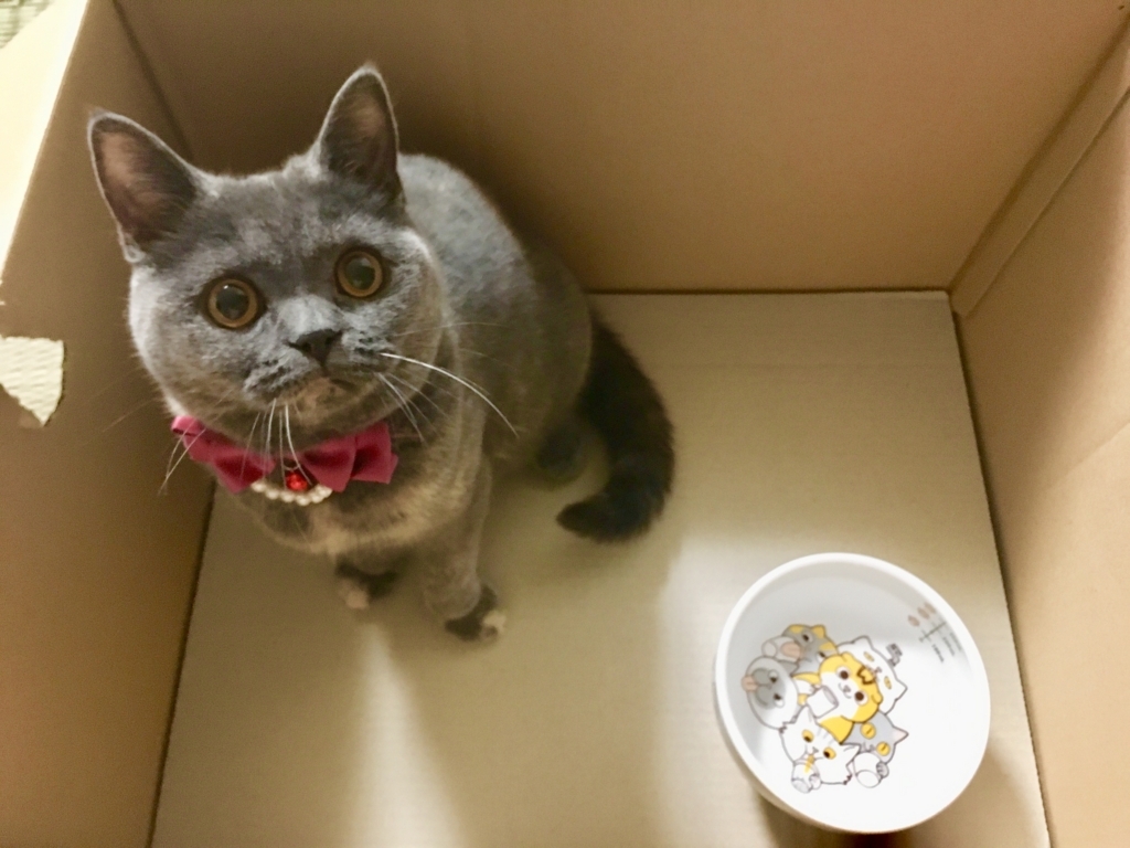 f:id:ririko69:20180731234641j:plain f:id:ririko69:20180731234641j:plain