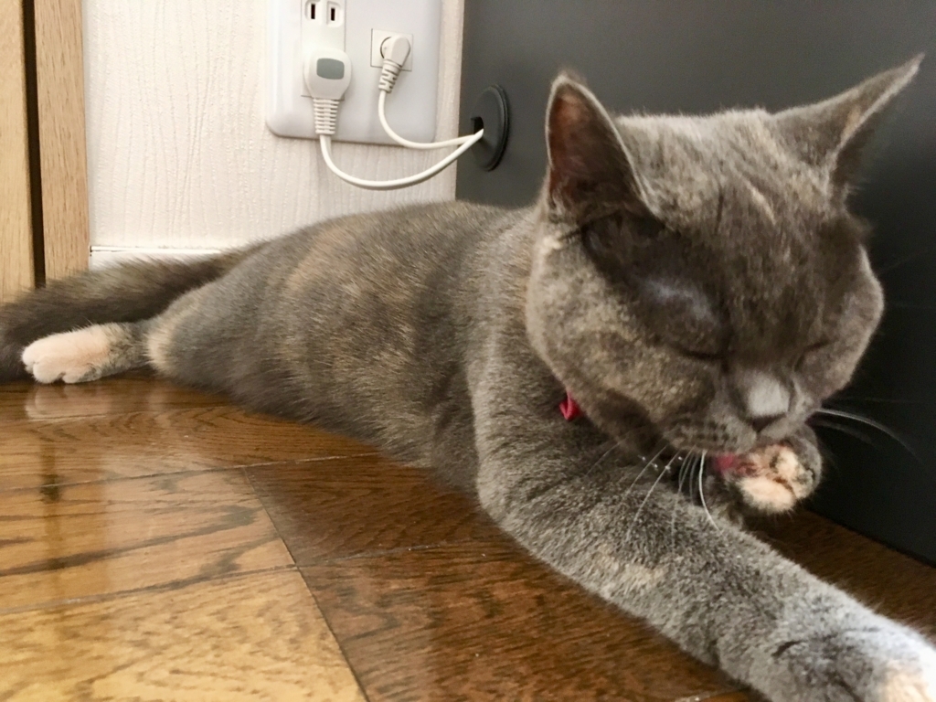 f:id:ririko69:20180801233103j:plain f:id:ririko69:20180801233103j:plain