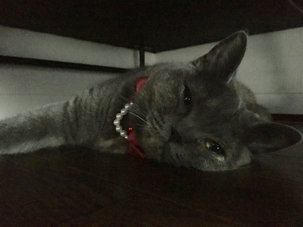 f:id:ririko69:20180801234114j:plain f:id:ririko69:20180801234114j:plain