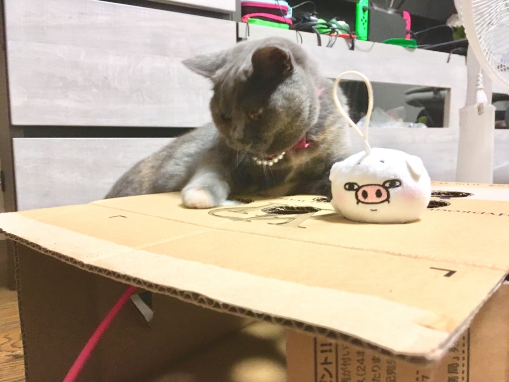 f:id:ririko69:20180801235346j:plain f:id:ririko69:20180801235346j:plain