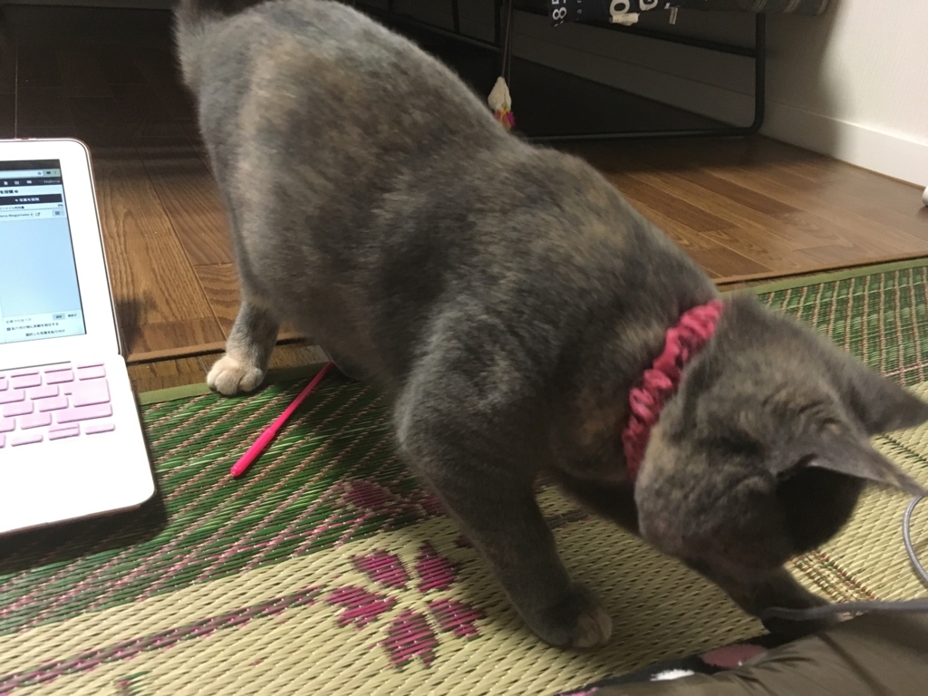 f:id:ririko69:20180802220626j:plain f:id:ririko69:20180802220626j:plain