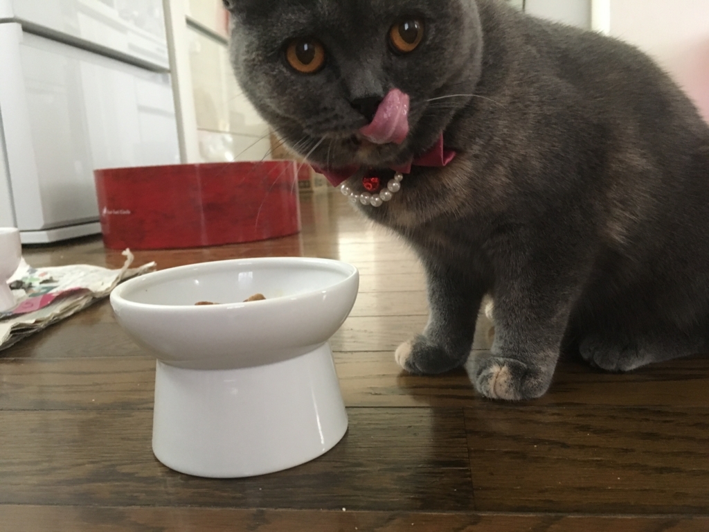 f:id:ririko69:20180802221438j:plain f:id:ririko69:20180802221438j:plain