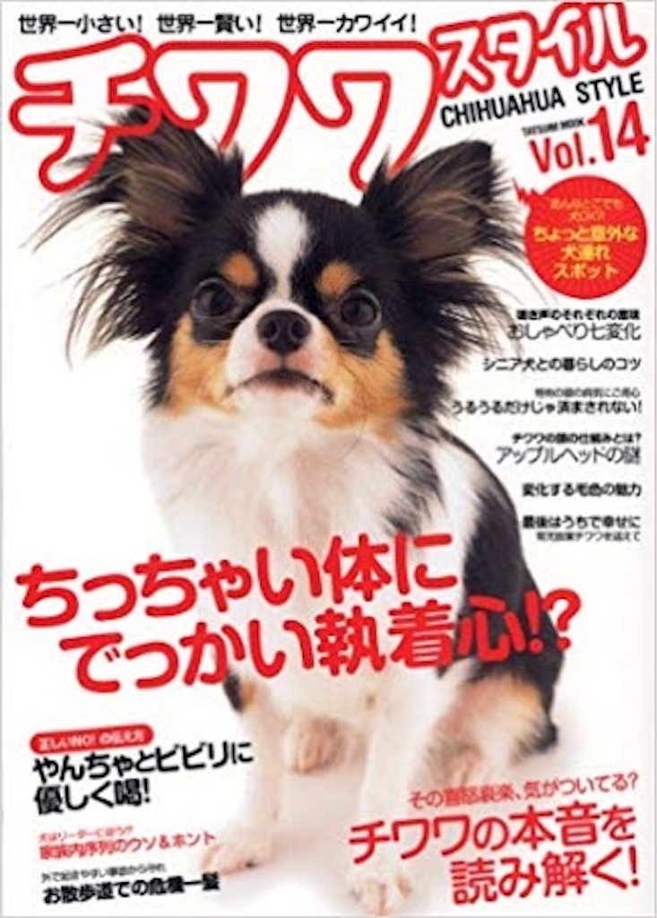 f:id:riro-chihuahua:20181112005034j:image f:id:riro-chihuahua:20181112005034j:image