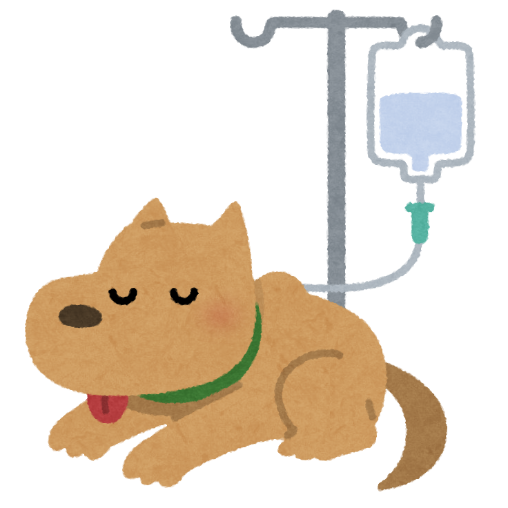 f:id:riro-chihuahua:20181112151755p:plain f:id:riro-chihuahua:20181112151755p:plain