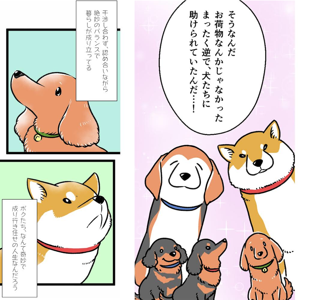 f:id:riro-chihuahua:20190706221759p:plain f:id:riro-chihuahua:20190706221759p:plain