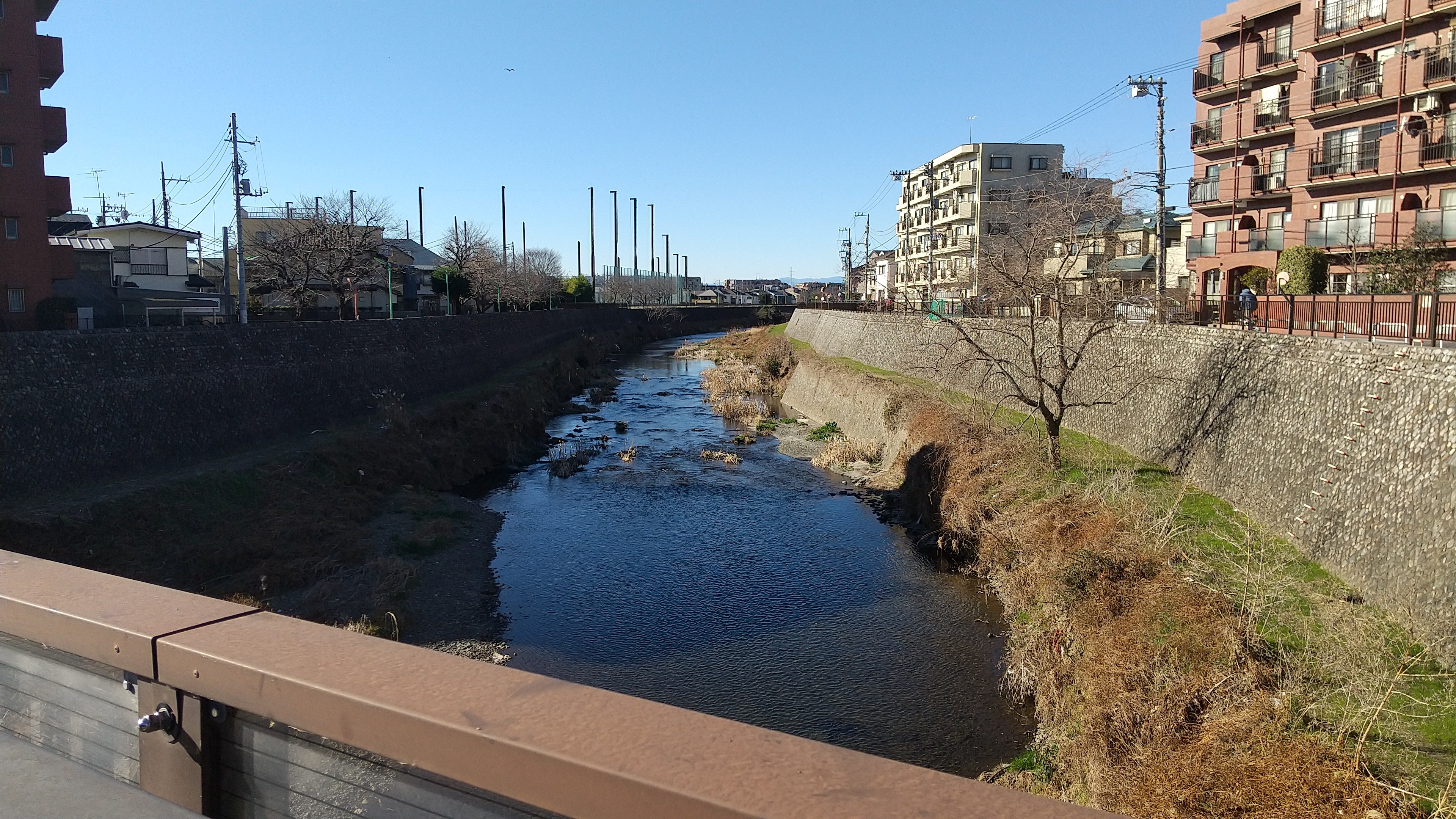 f:id:riruriruhkg:20220101202756j:image