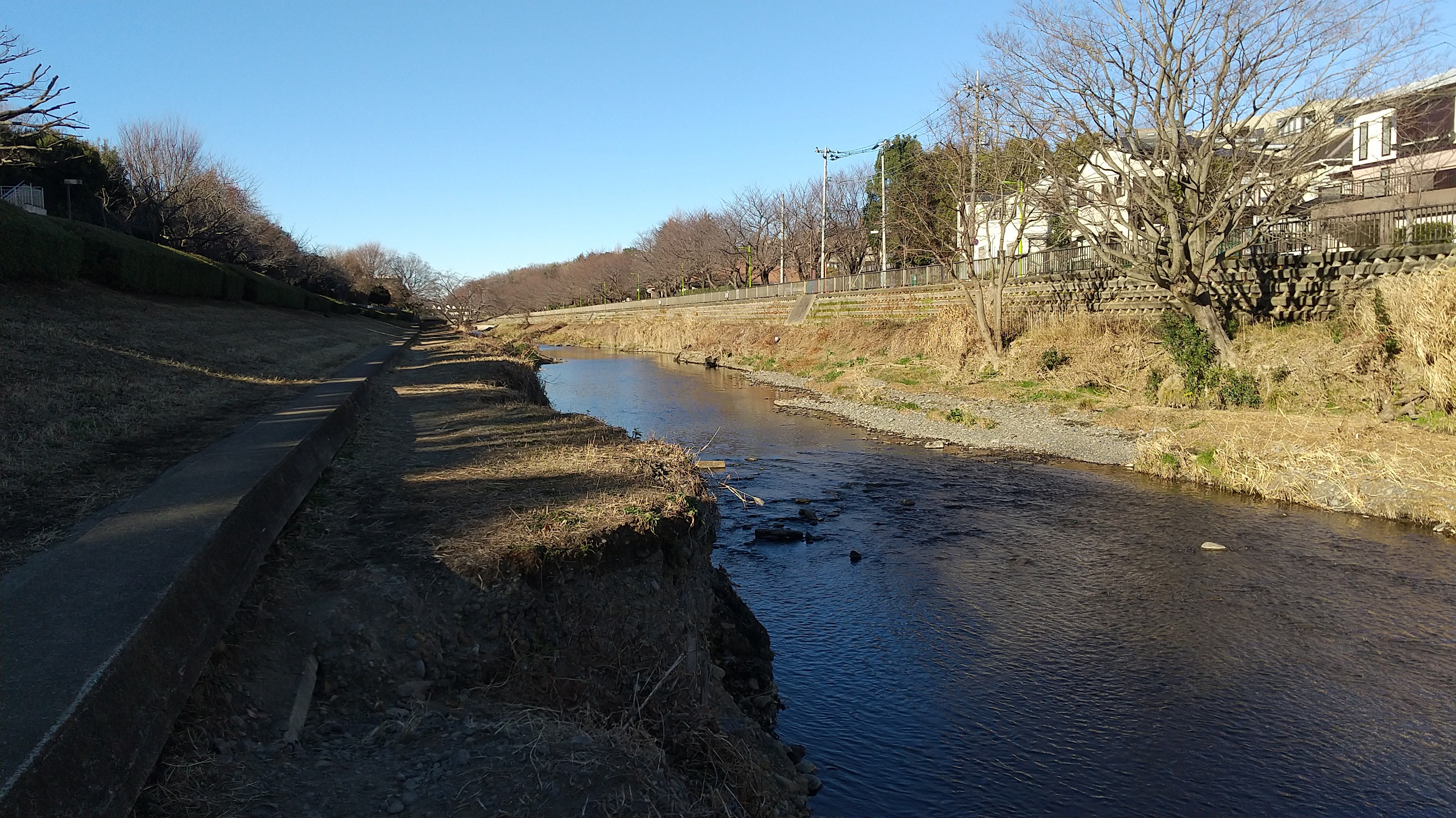 f:id:riruriruhkg:20220101204028j:image