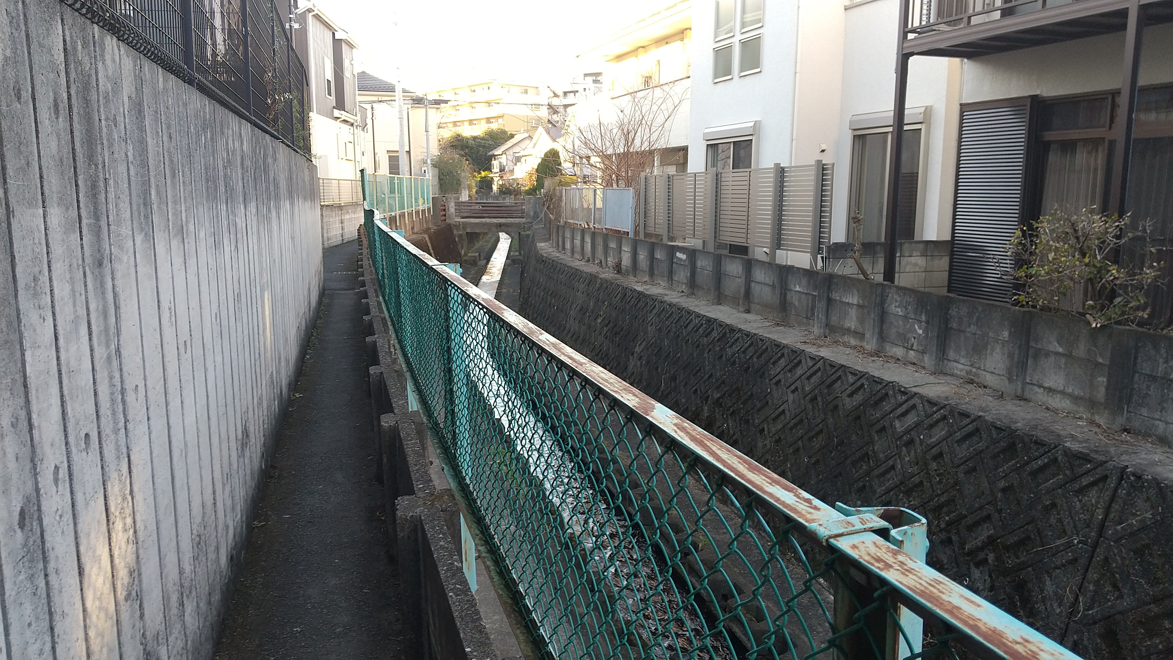f:id:riruriruhkg:20220101210231j:image