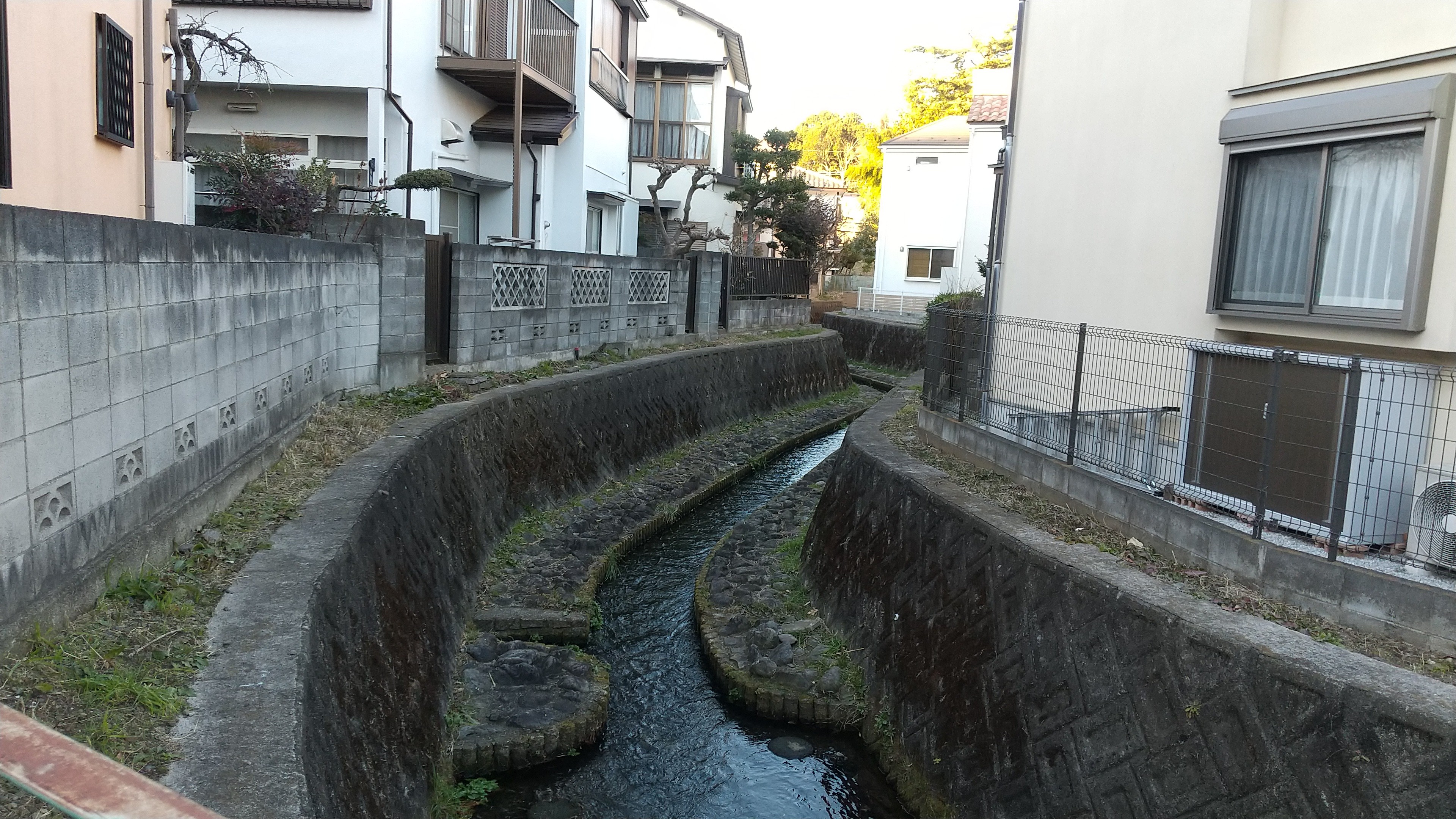 f:id:riruriruhkg:20220101210404j:image