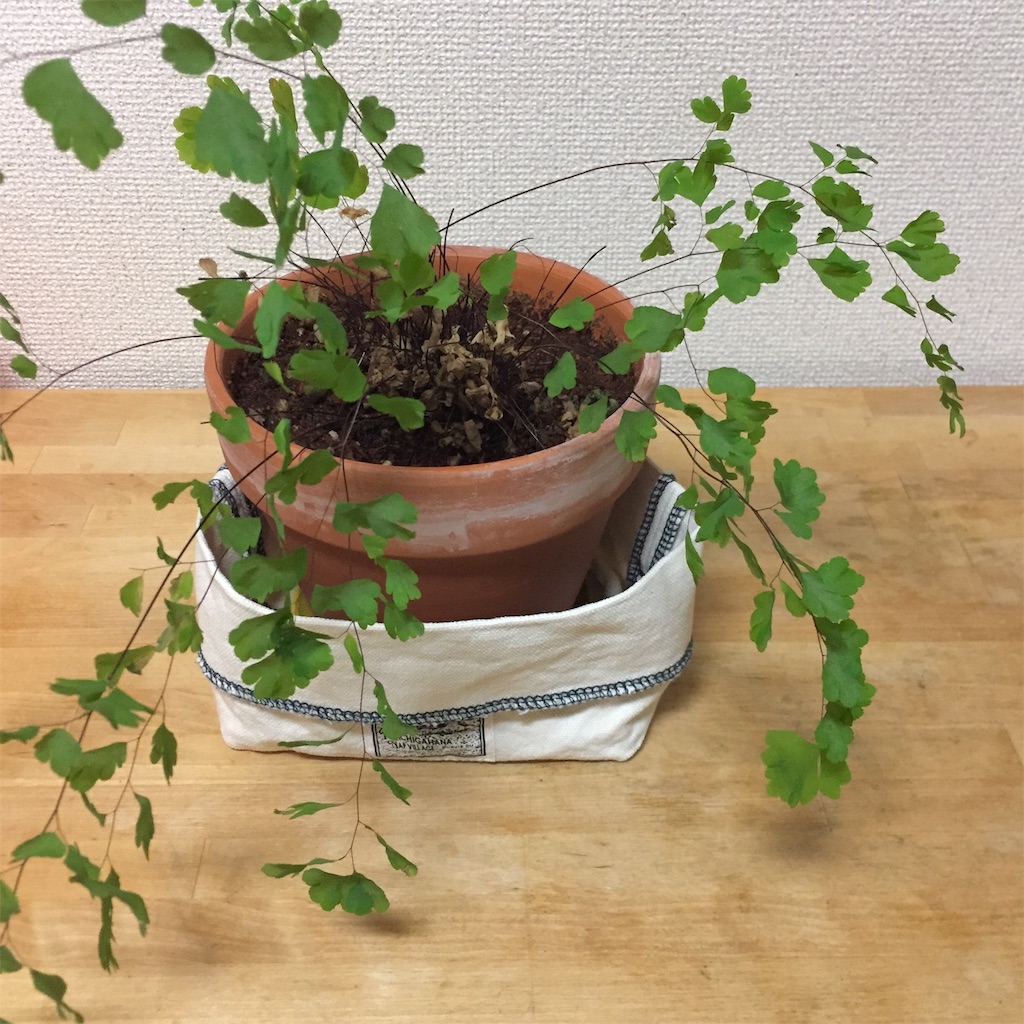 f:id:risa10485:20190217002910j:image f:id:risa10485:20190217002910j:image
