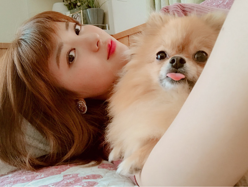 小ネタ 矢島舞美さんがなんと茶髪オン眉に ハロプロ通信