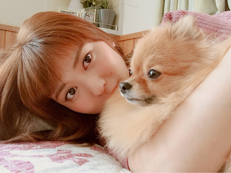 小ネタ 矢島舞美さんがなんと茶髪オン眉に ハロプロ通信
