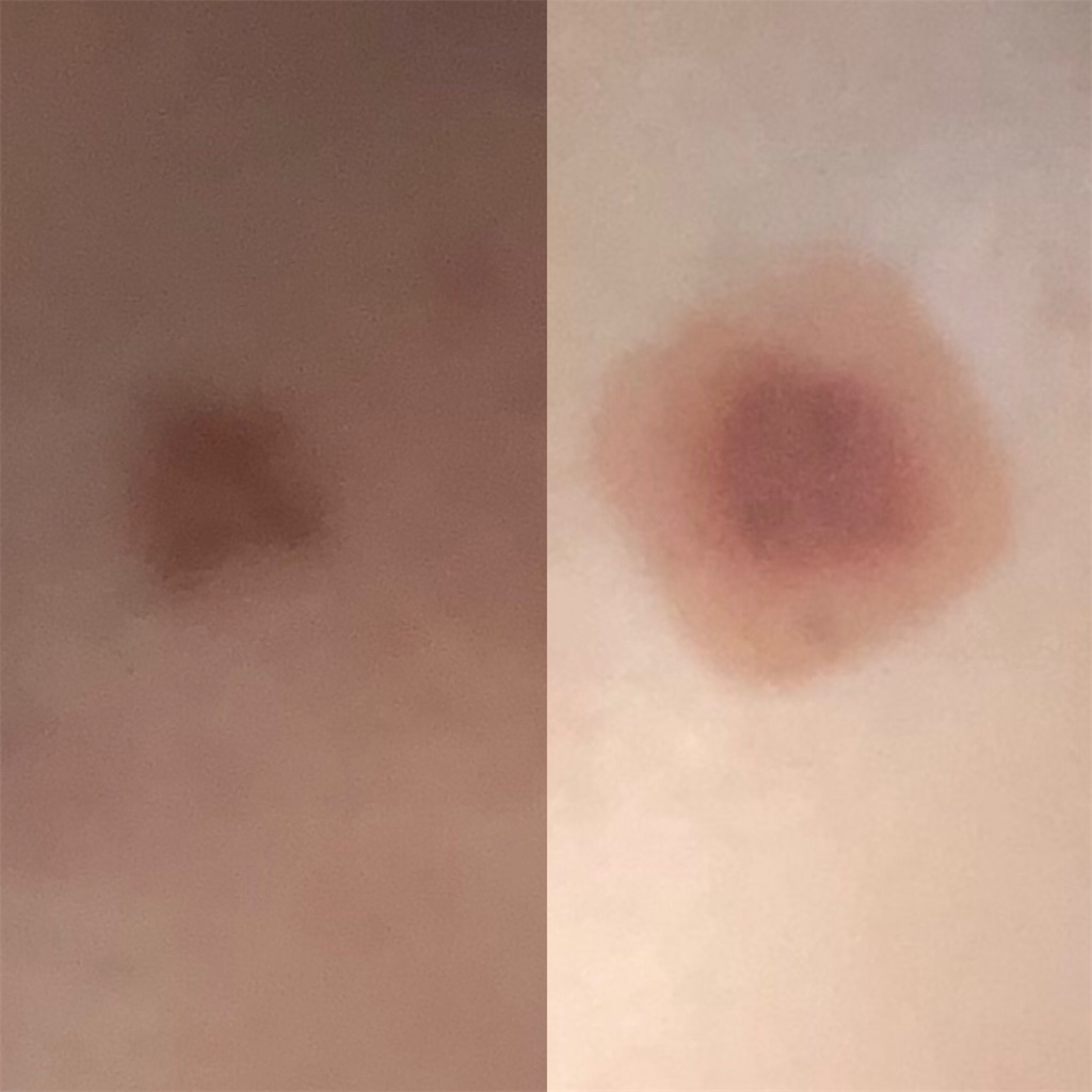 f:id:risacomaru:20210131003640j:image