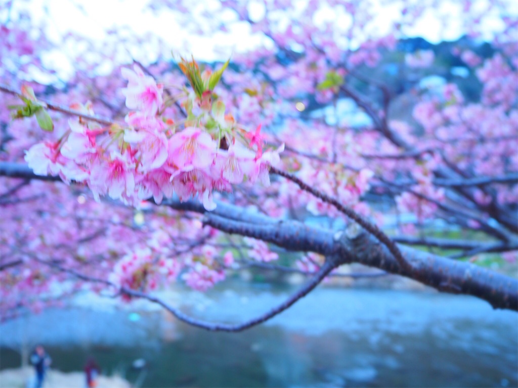 f:id:risalogue:20180306162335j:image f:id:risalogue:20180306162335j:image