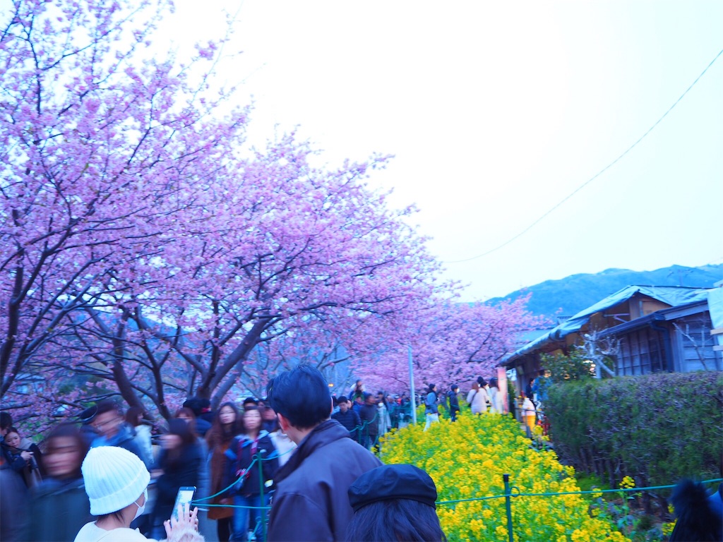 f:id:risalogue:20180306163442j:image f:id:risalogue:20180306163442j:image