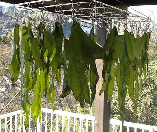 f:id:rise_more:20150217232246j:plain