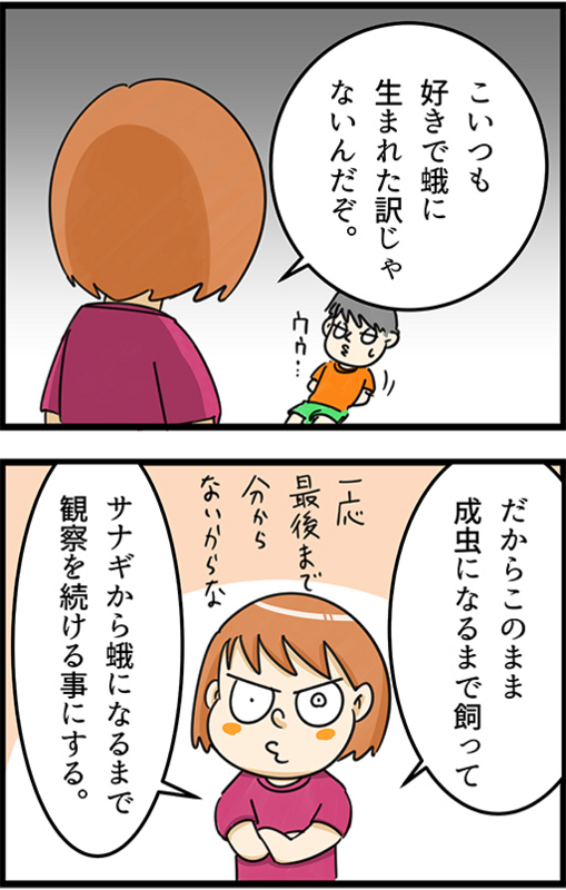 f:id:rise_more:20150520185653j:plain