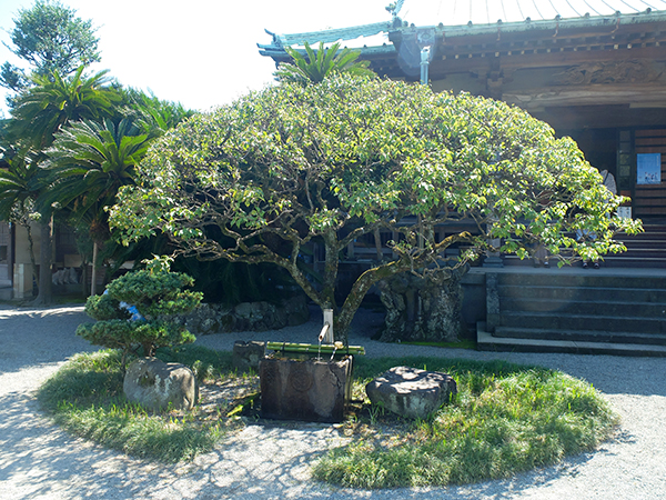 f:id:rise_more:20150924235745j:plain