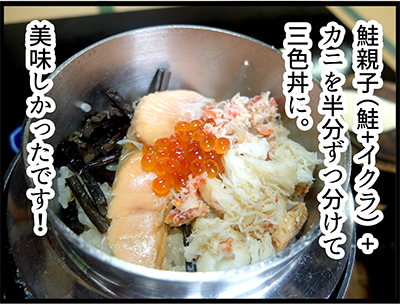 f:id:rise_more:20150930233351j:plain