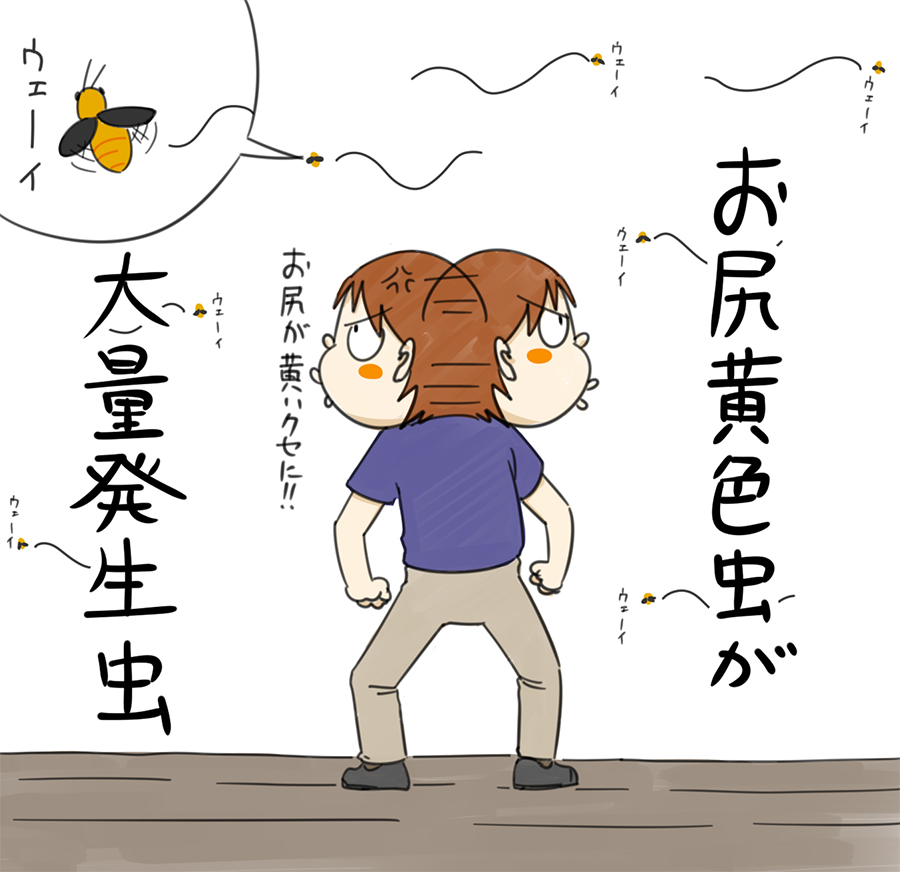 f:id:rise_more:20151002225545j:plain