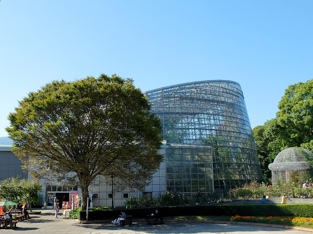 f:id:rise_more:20151027235353j:plain