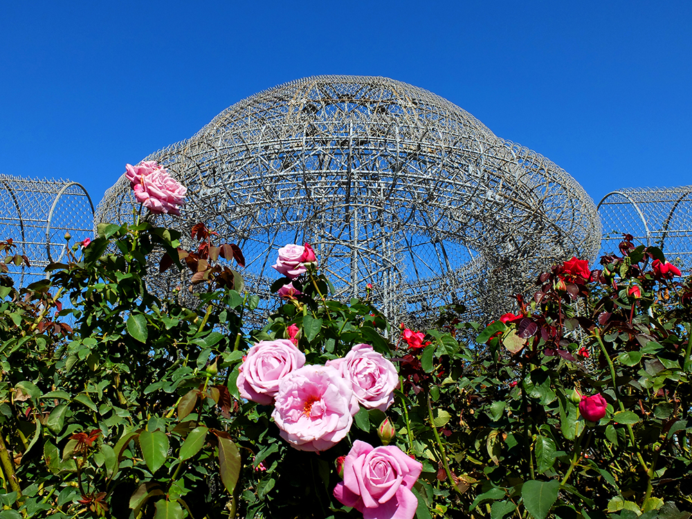 f:id:rise_more:20151027235357j:plain