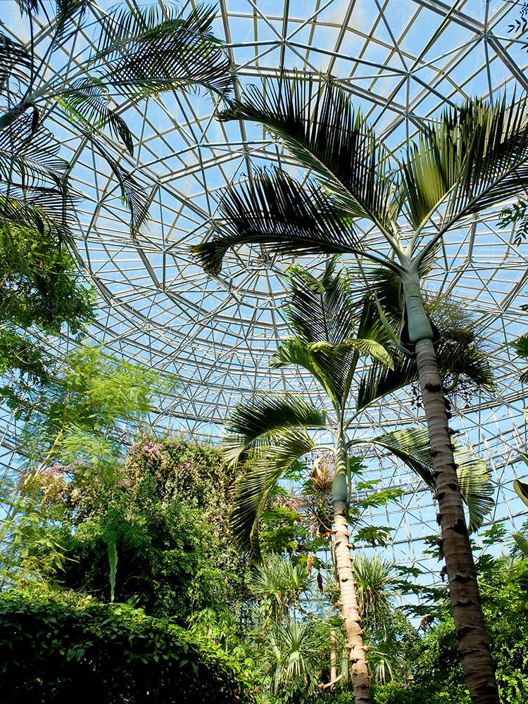 f:id:rise_more:20151028001802j:plain