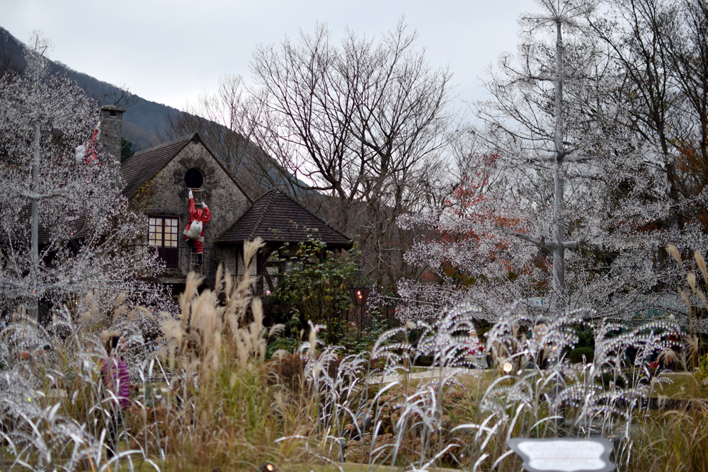 f:id:rise_more:20151123014029j:plain