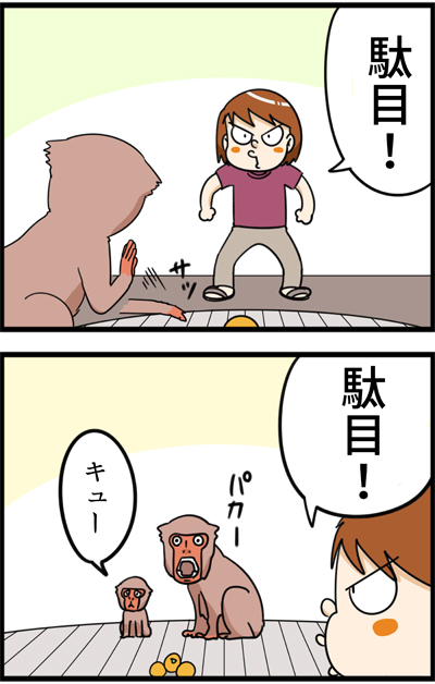 f:id:rise_more:20151208013104j:plain