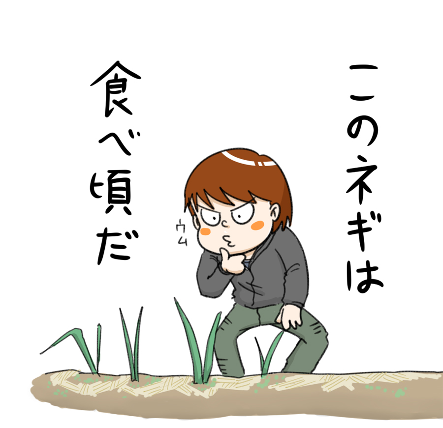 f:id:rise_more:20151231015955j:plain
