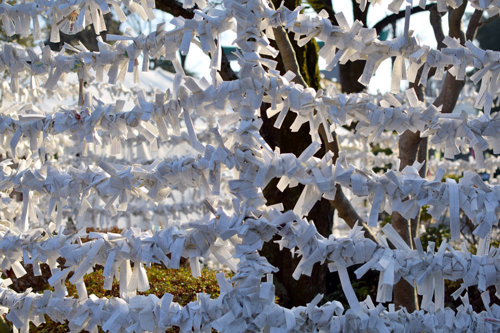 f:id:rise_more:20160119013830j:plain