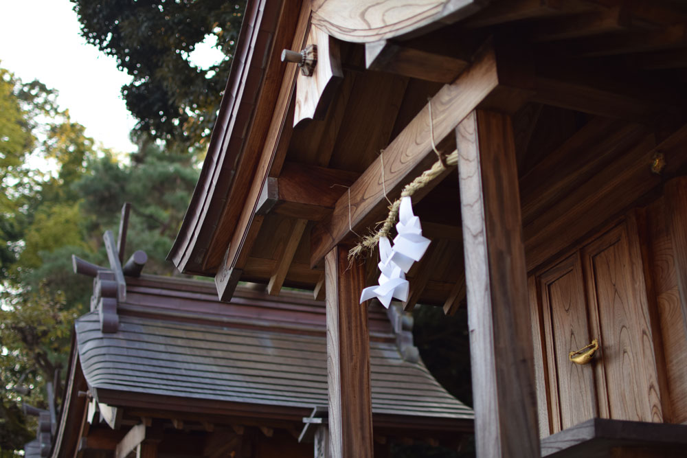 f:id:rise_more:20160119013833j:plain