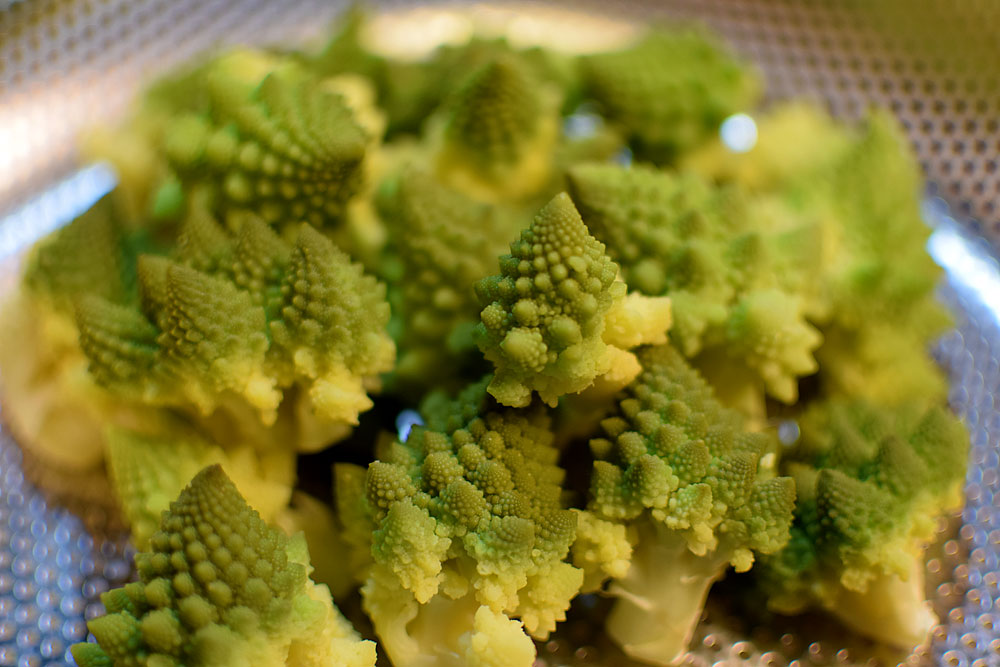 f:id:rise_more:20160120005838j:plain