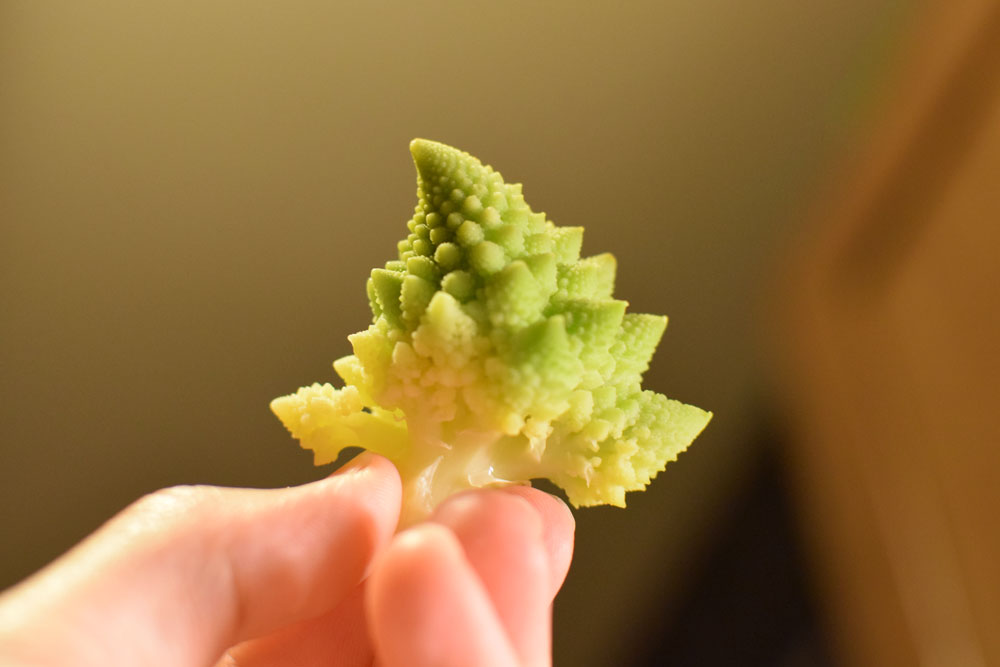 f:id:rise_more:20160120005840j:plain