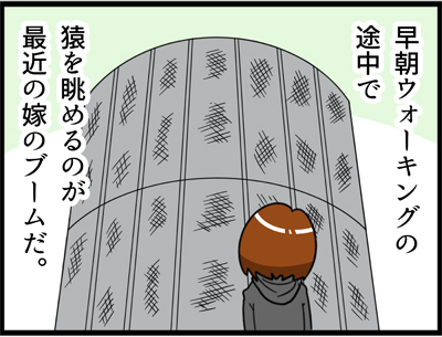 f:id:rise_more:20160125235641j:plain