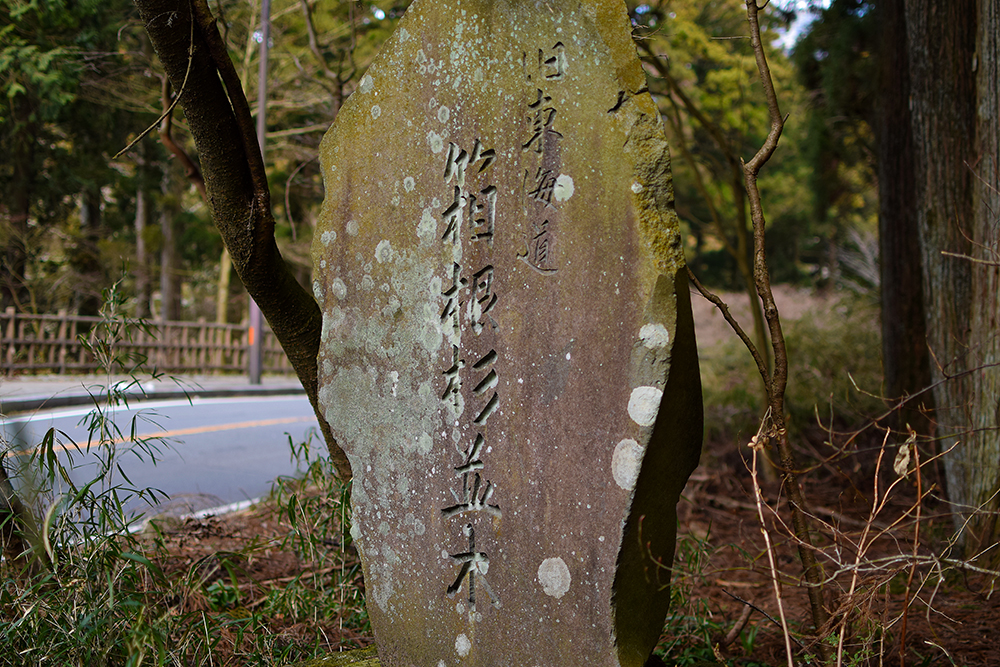 f:id:rise_more:20160212002915j:plain f:id:rise_more:20160212002915j:plain