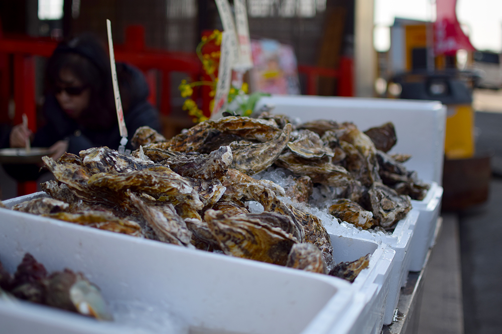 f:id:rise_more:20160229002627j:plain