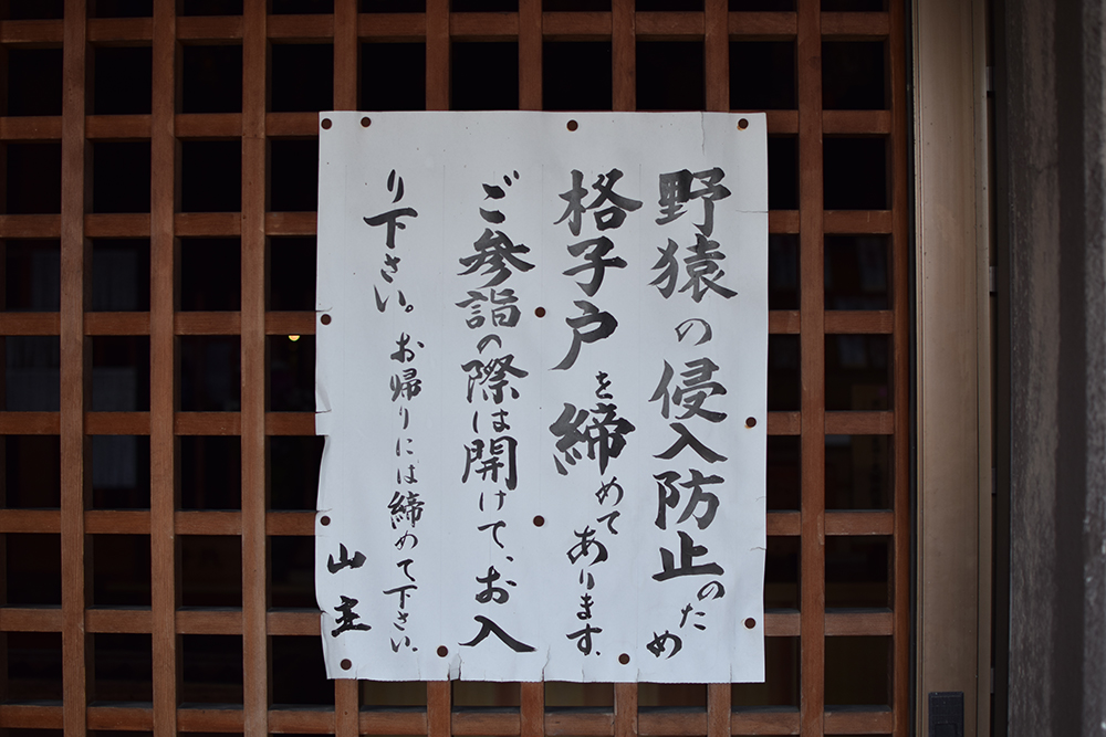 f:id:rise_more:20160229002639j:plain