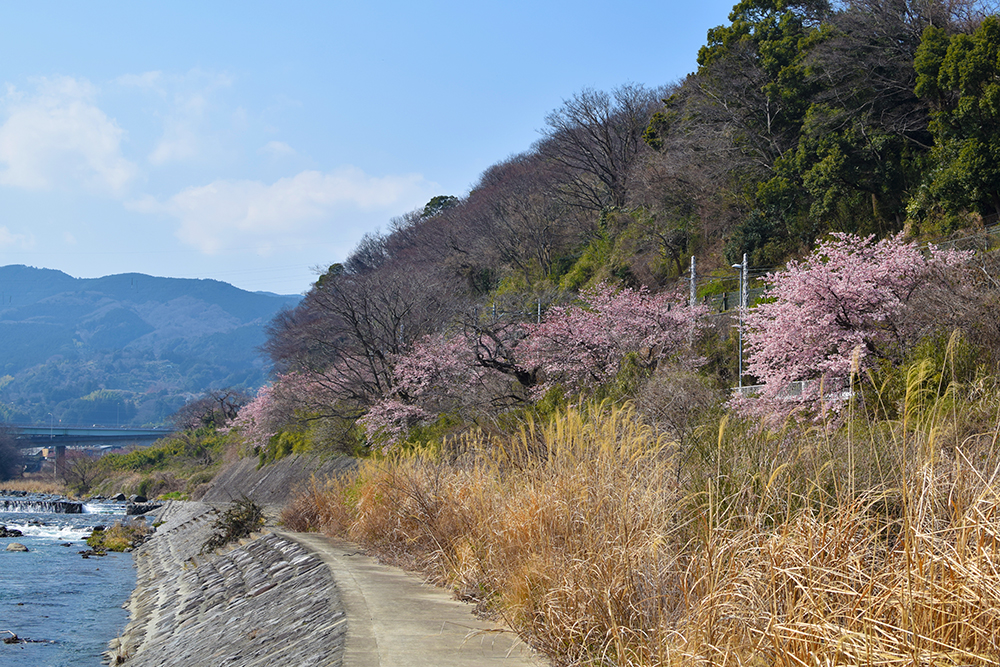 f:id:rise_more:20160229002659j:plain