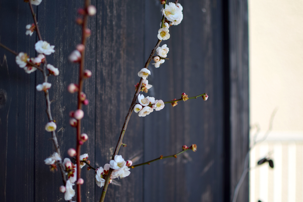 f:id:rise_more:20160301233428j:plain