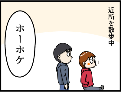 f:id:rise_more:20160308184225j:plain