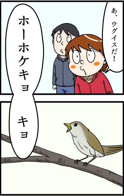 f:id:rise_more:20160308184226j:plain