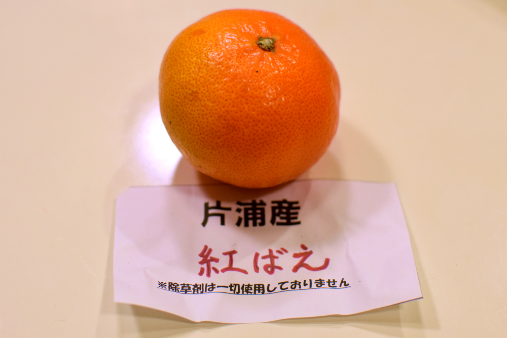 f:id:rise_more:20160309184213j:plain f:id:rise_more:20160309184213j:plain