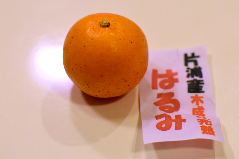 f:id:rise_more:20160309184215j:plain f:id:rise_more:20160309184215j:plain