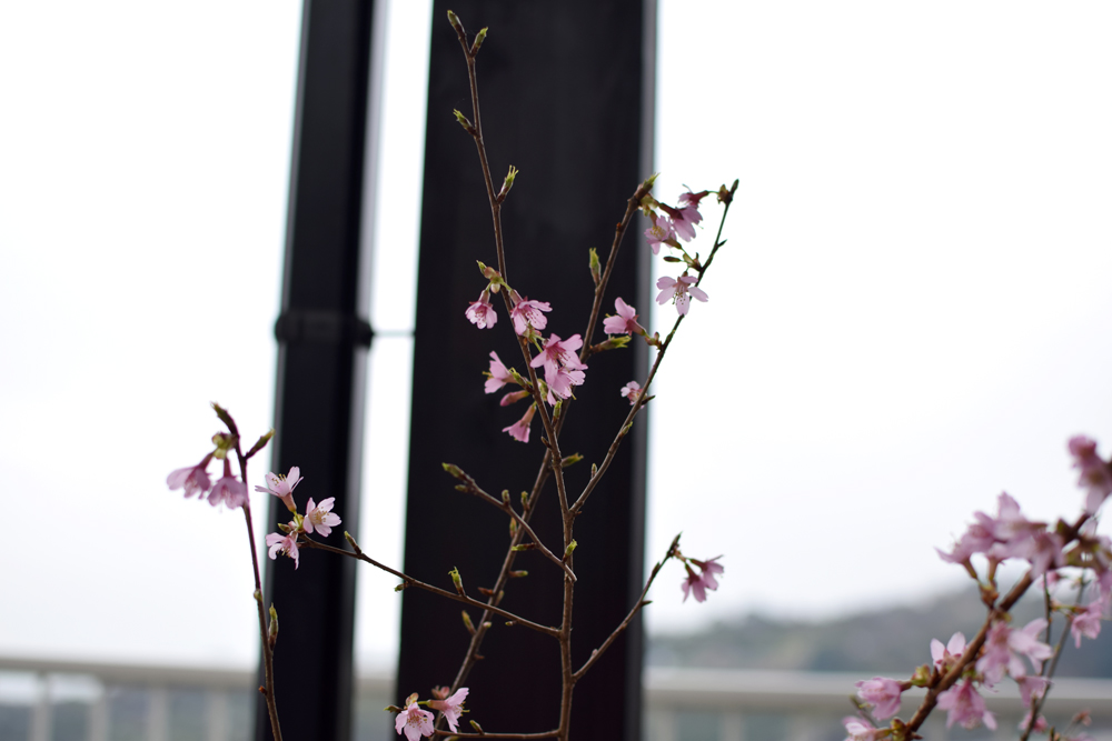 f:id:rise_more:20160310220252j:plain