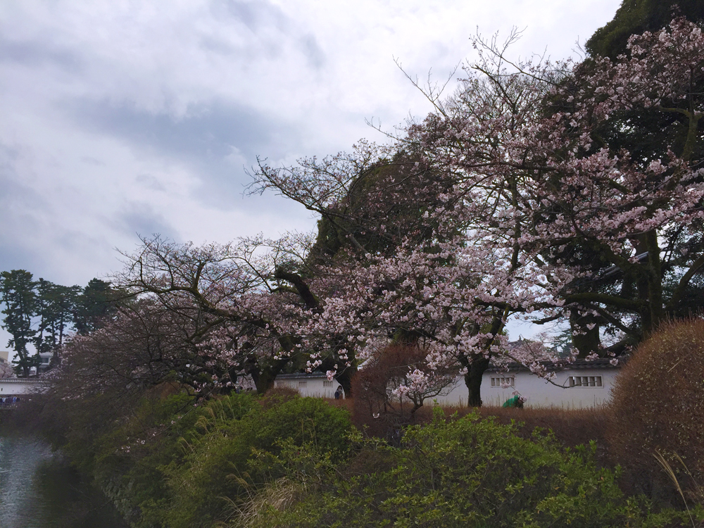 f:id:rise_more:20160404002829j:plain