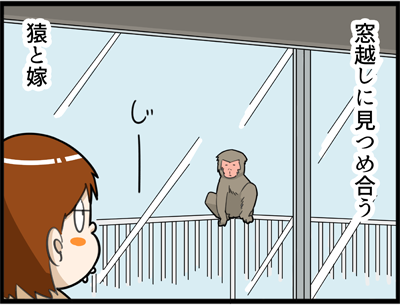 f:id:rise_more:20160428230003p:plain